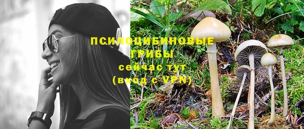 не бодяженный Алзамай