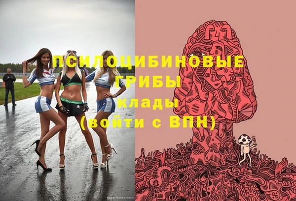 амфетамин Алексеевка
